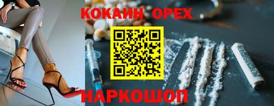 гашик Обнинск